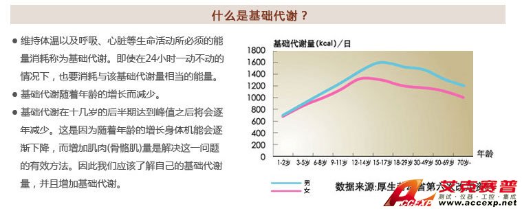 了解基礎(chǔ)代謝